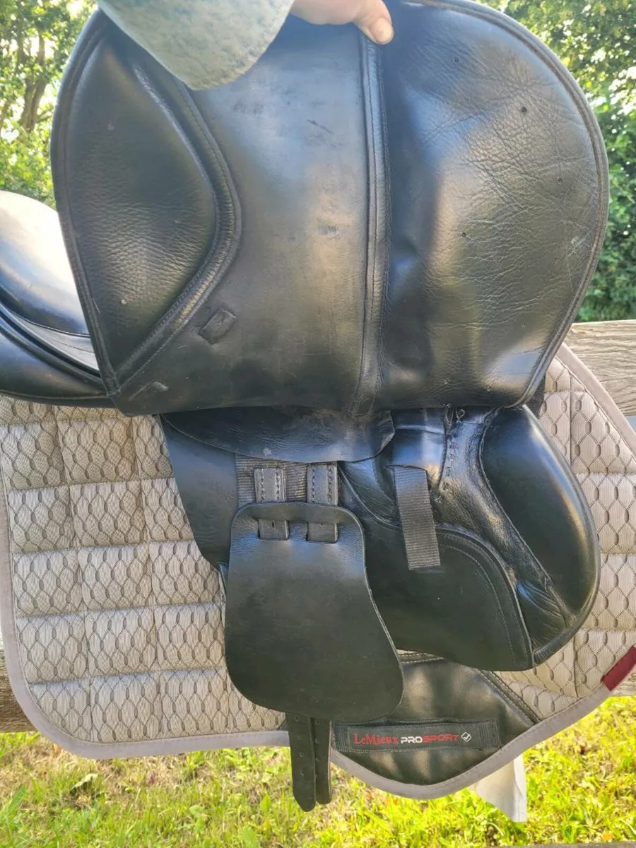 18" Albion saddle - Image 4