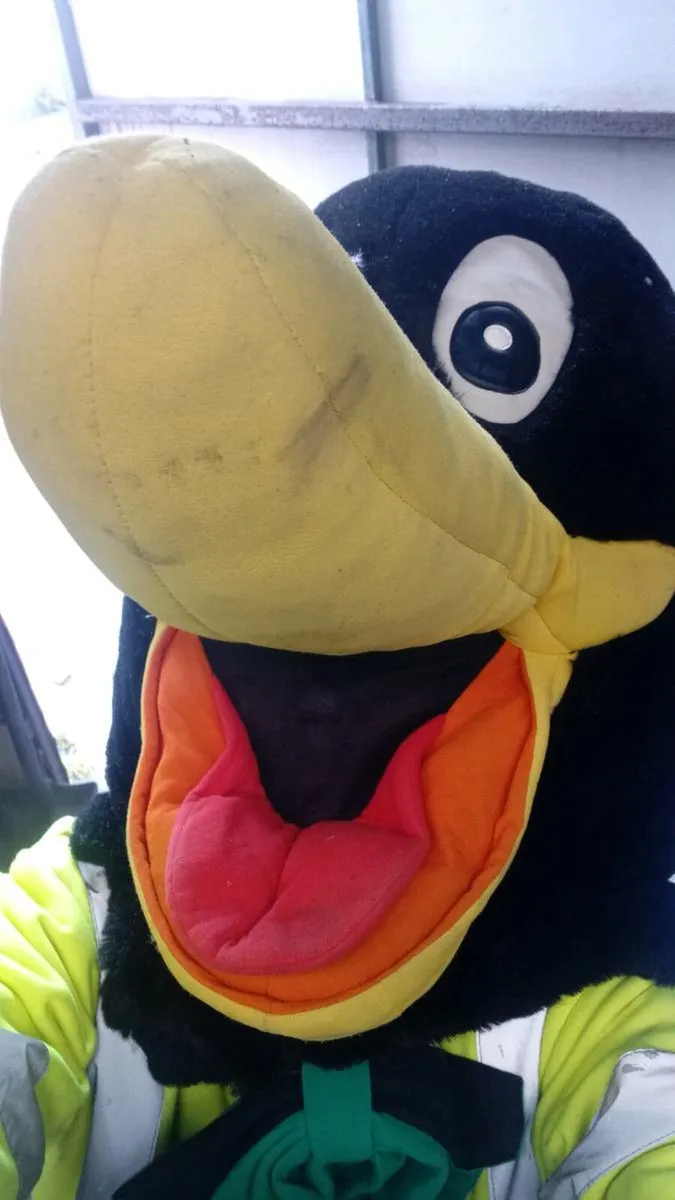 Fancy dress - Image 1