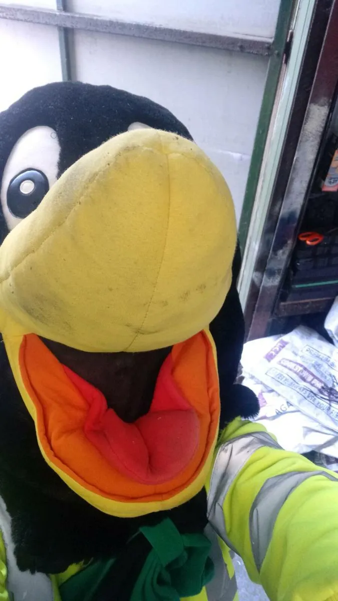 Fancy dress - Image 2