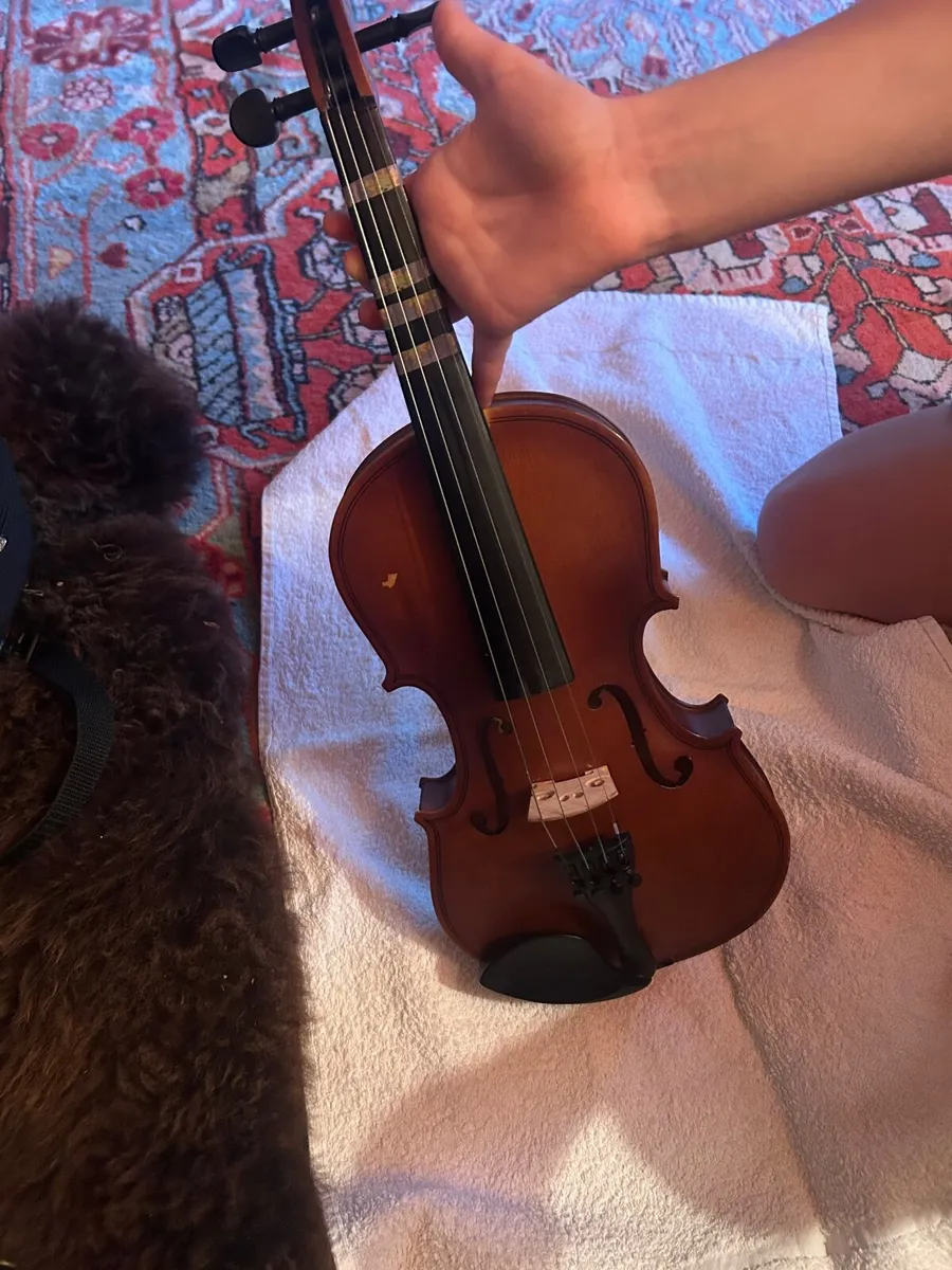 violin /Fiddle - Image 1