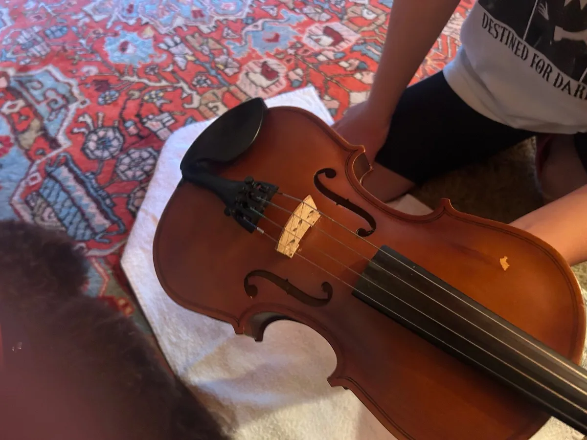 violin /Fiddle - Image 3