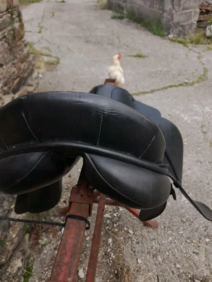 17 inch Saddle - Image 3