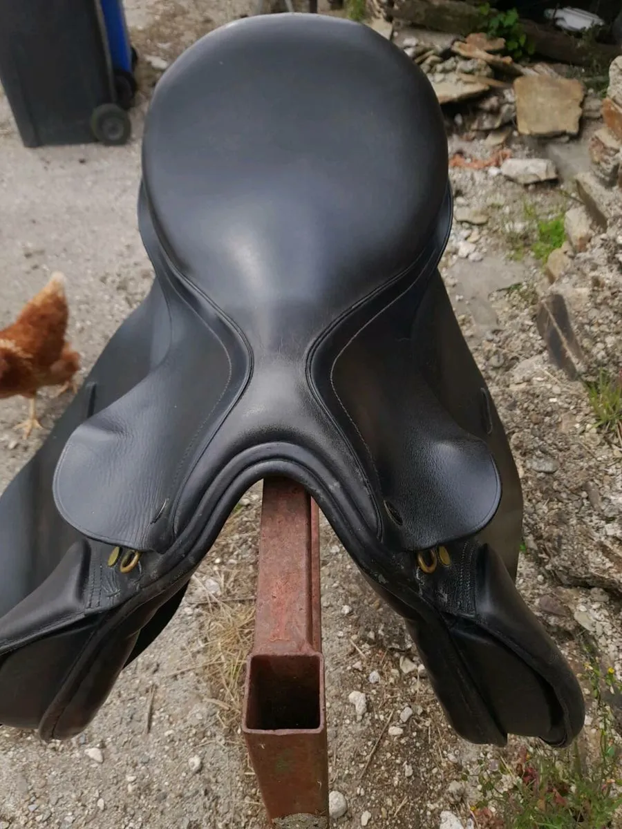 17 inch Saddle - Image 4