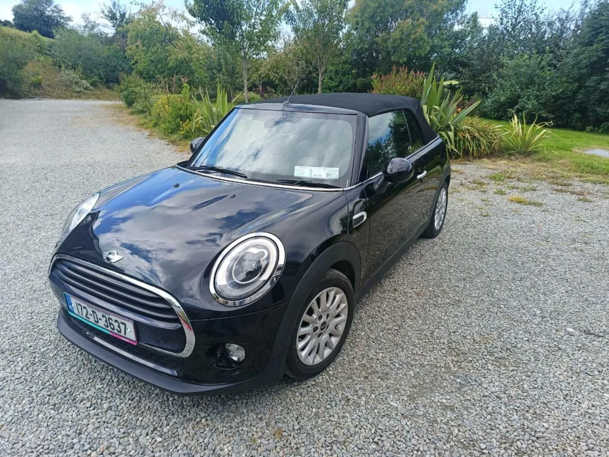 Mini convertible - Image 2