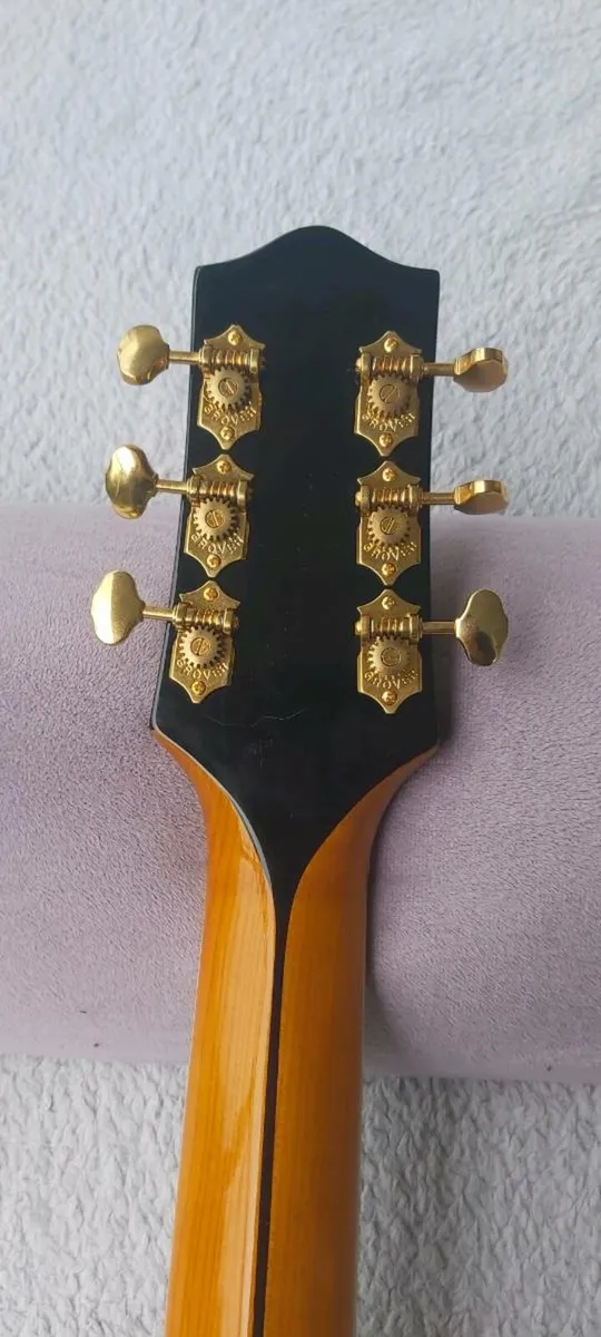 The Loar LH 700 VS DELUXE - Image 4
