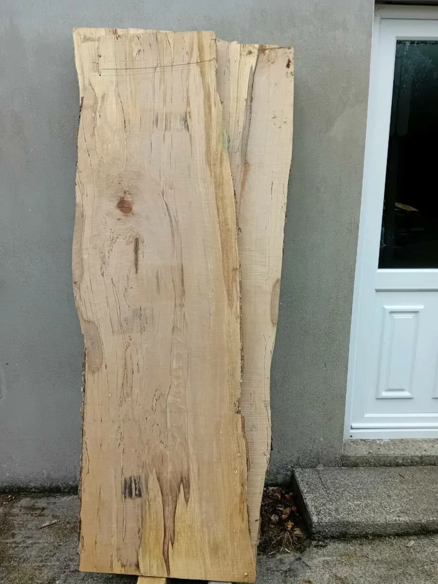 Beautiful live edge Spalted Beech slabs - Image 1