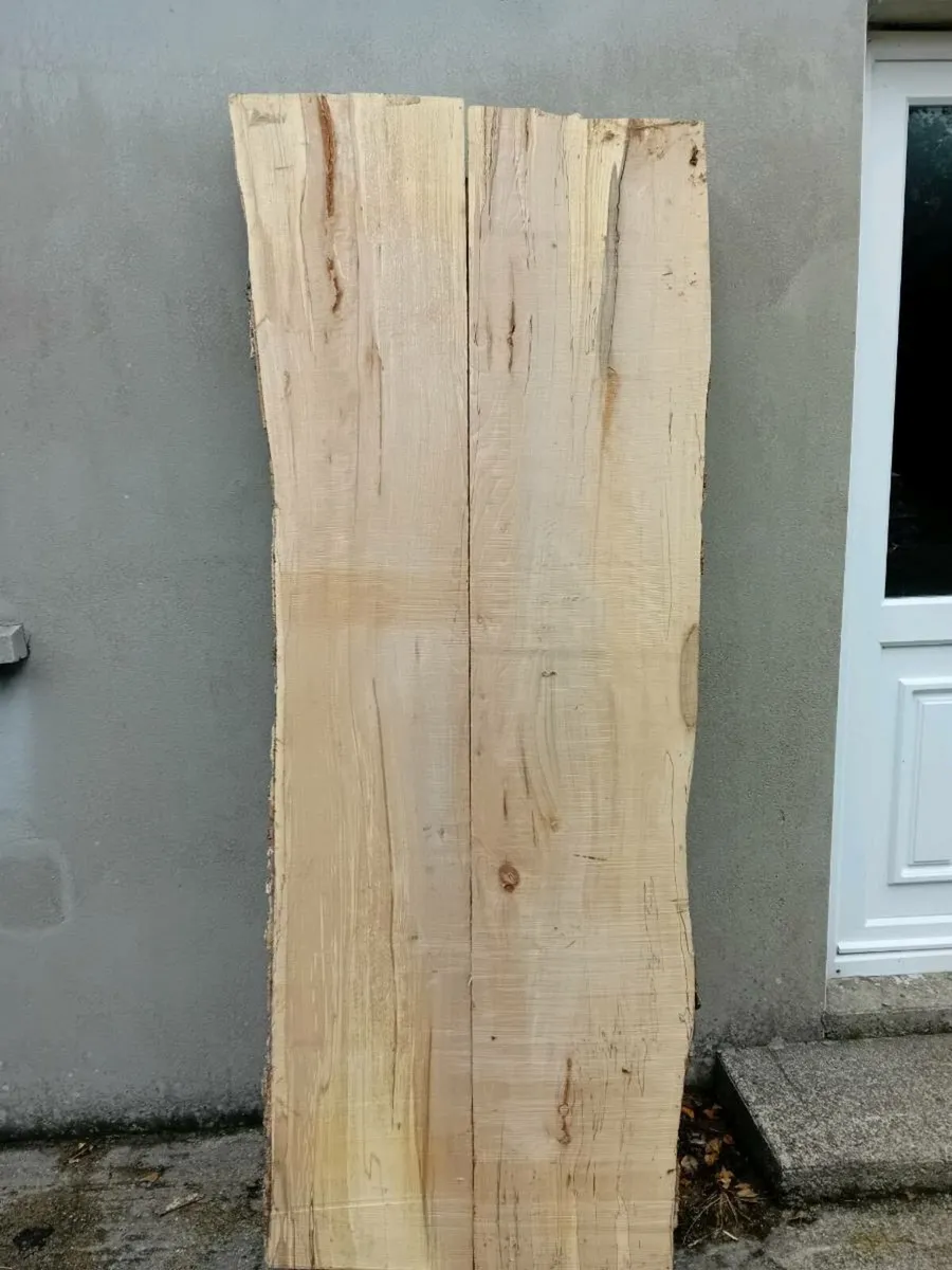 Beautiful live edge Spalted Beech slabs - Image 2
