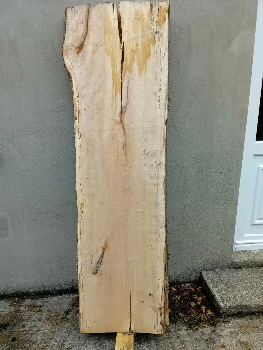 Beautiful live edge Spalted Beech slabs - Image 3