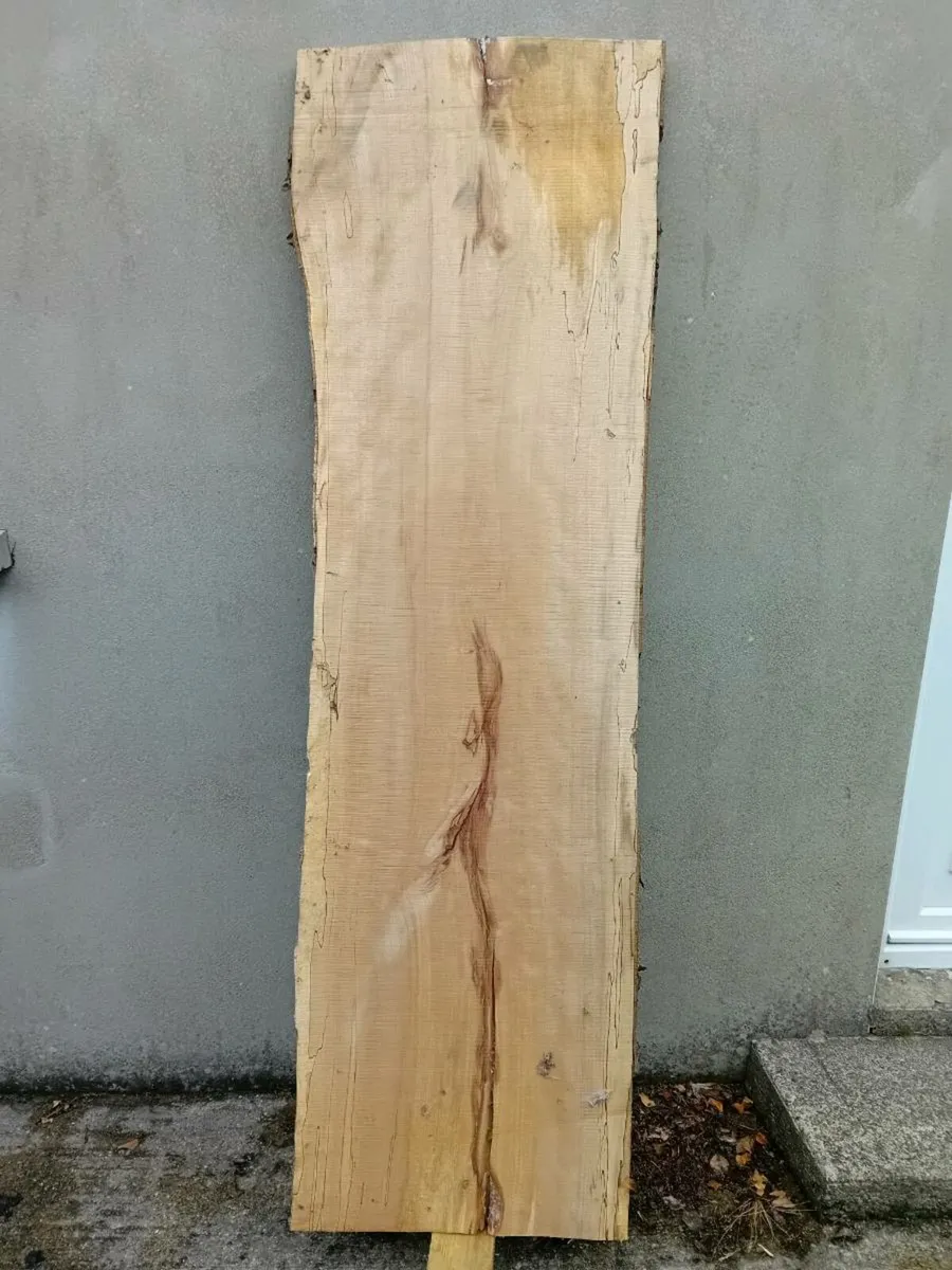 Beautiful live edge Spalted Beech slabs - Image 4