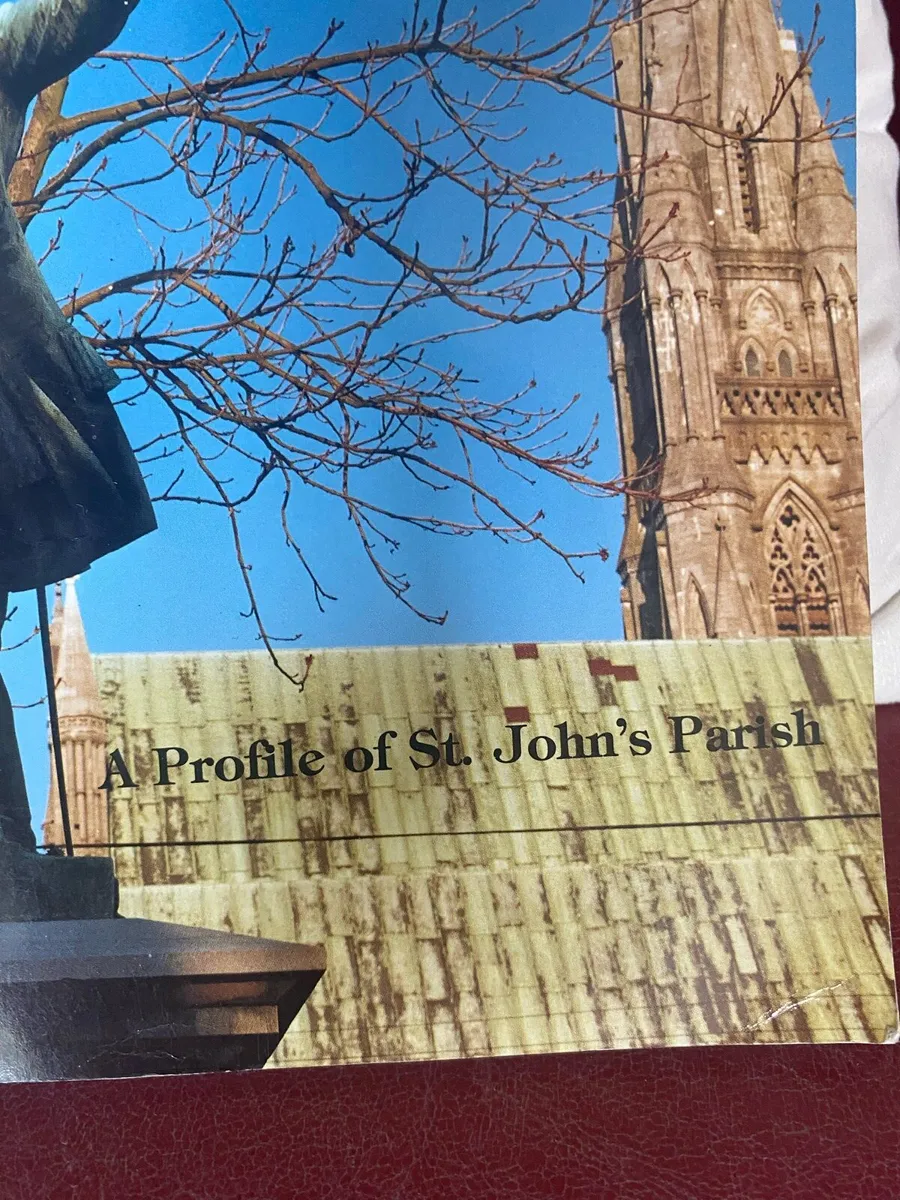 Limerick History- In The Shadow of The Spire - Image 2