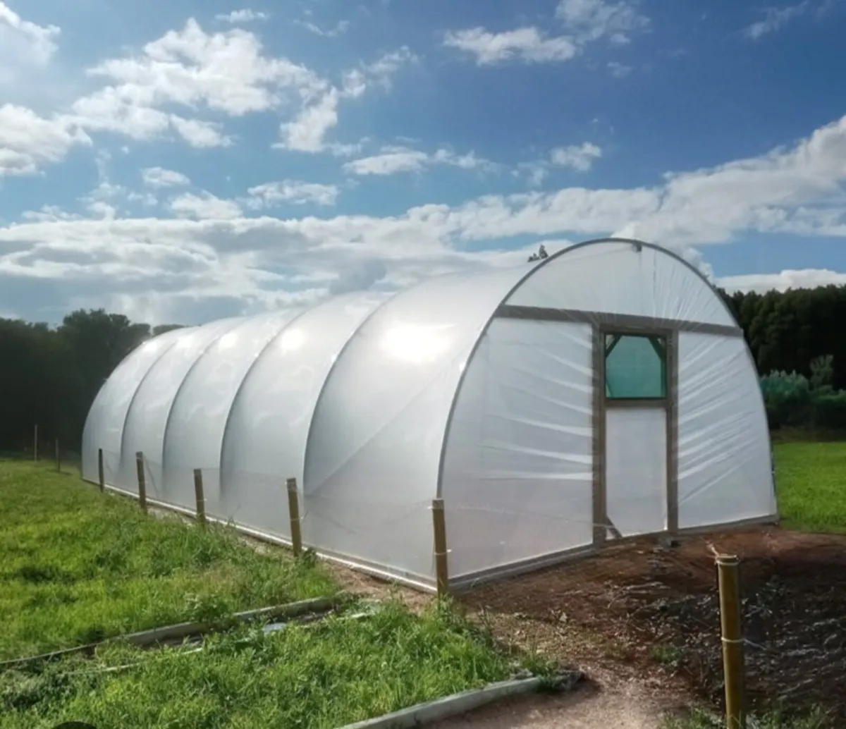 Polytunnel 50x16ft