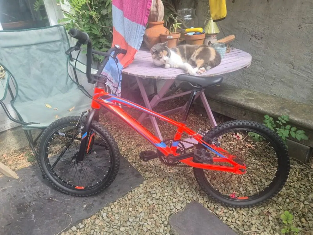 Bike - Image 1