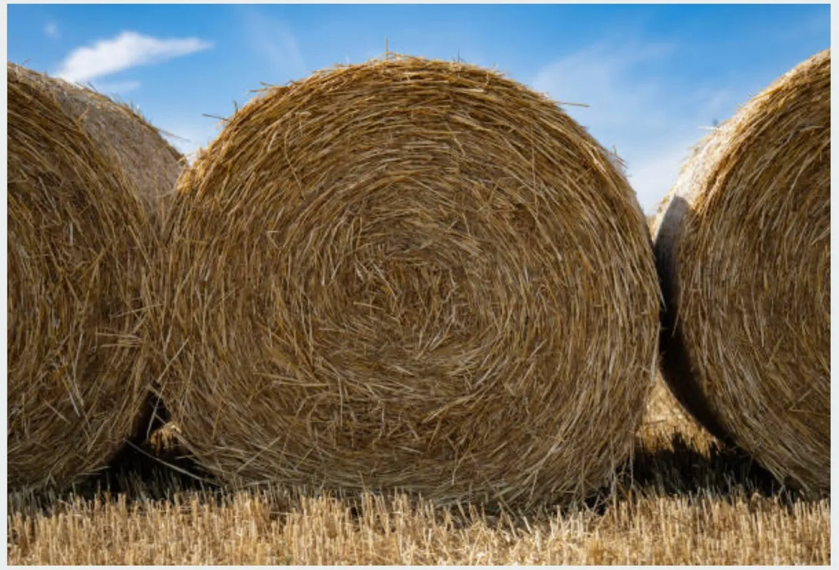 straw bales