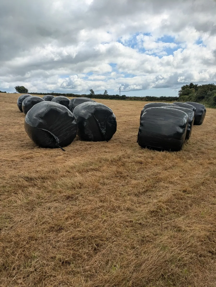 Haylage - Image 1