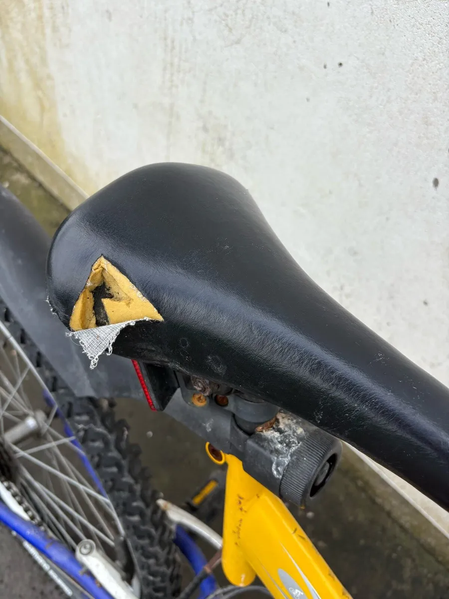 Bike - Image 4