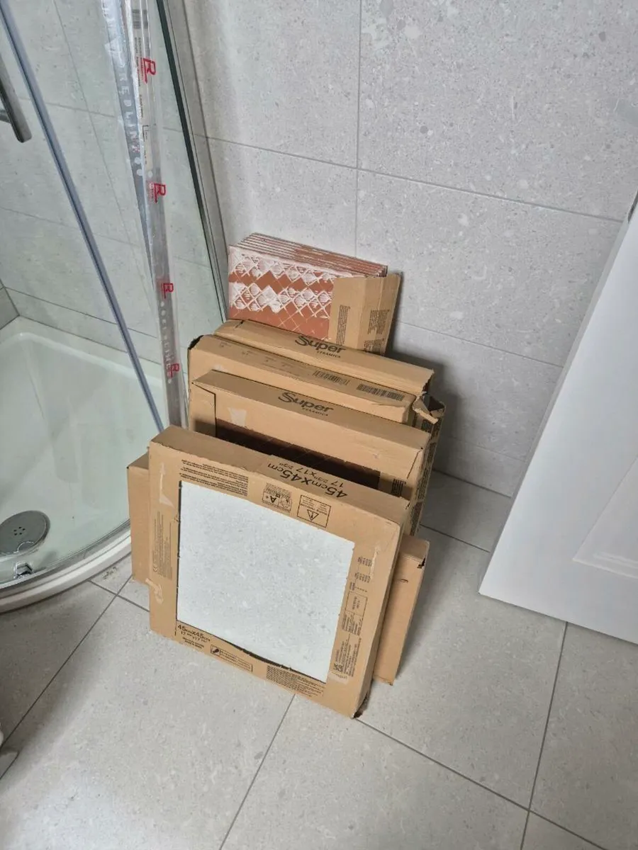 Bathroom floor and wall tiles - Image 1