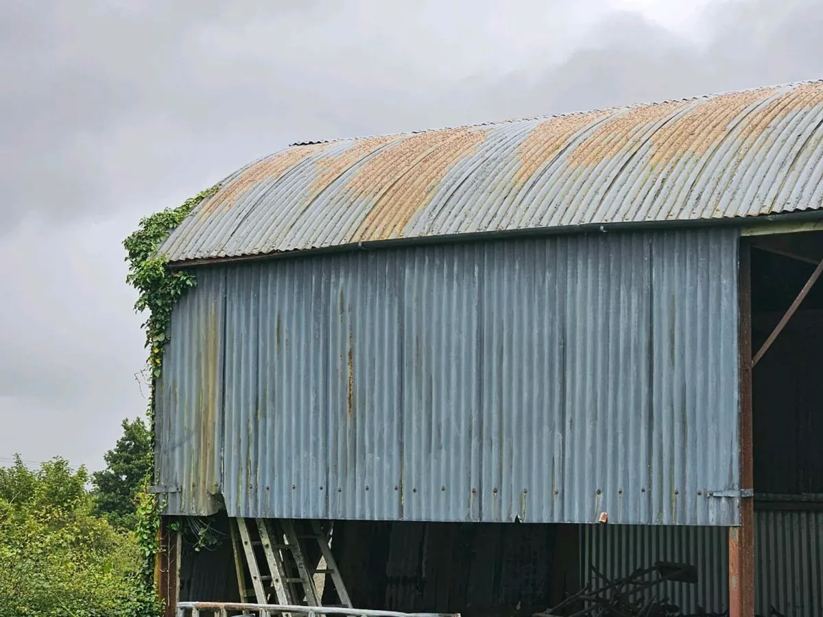 Shed - Image 2