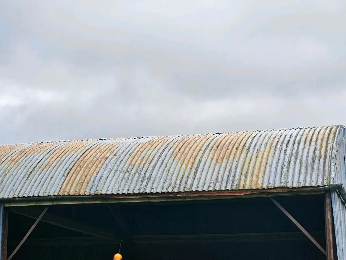 Shed - Image 4
