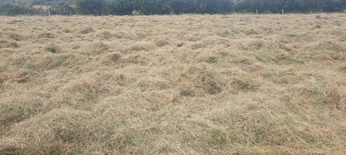 Round Bales hay