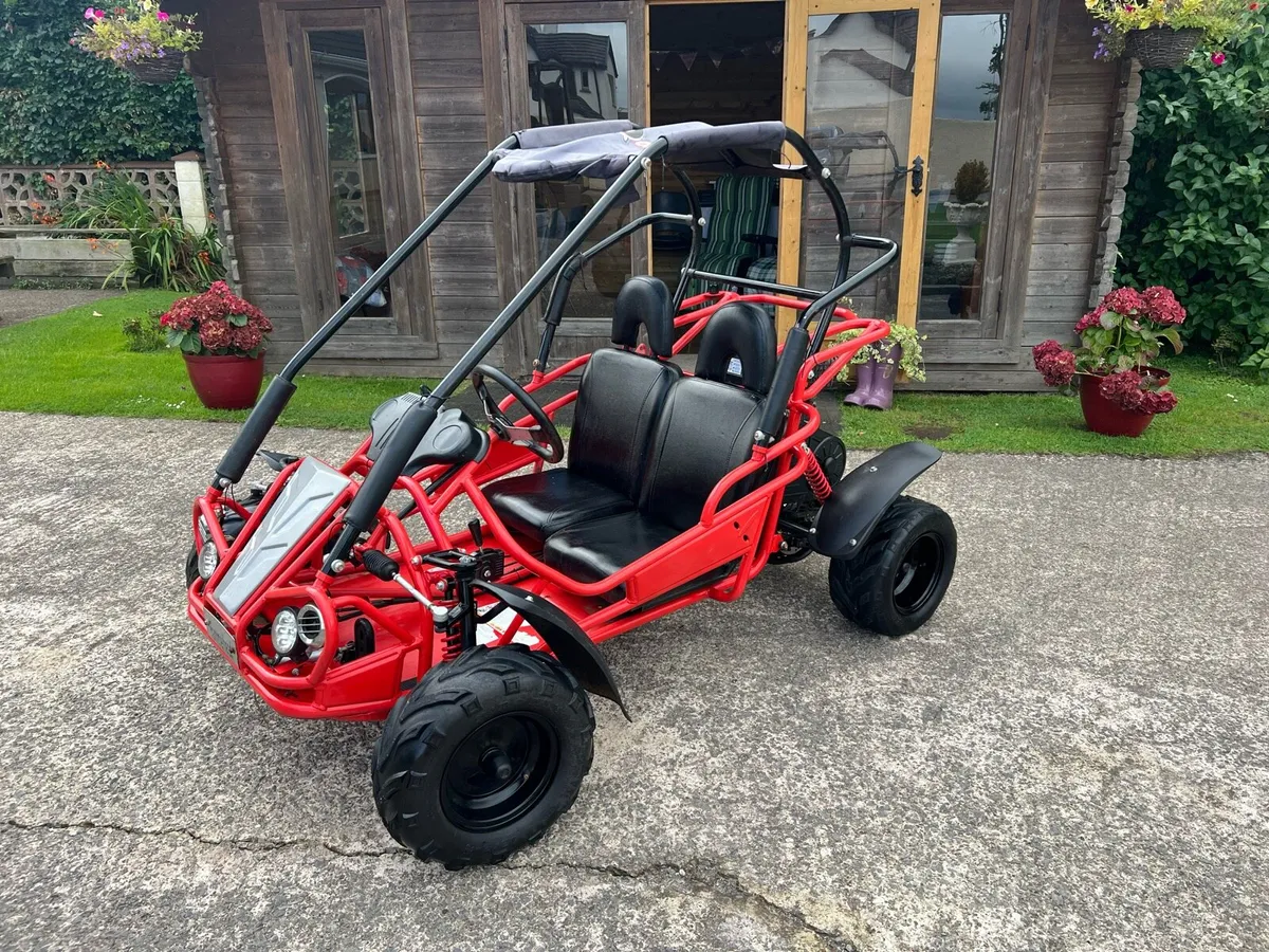 Hammerhead Buggy 208R - Image 1