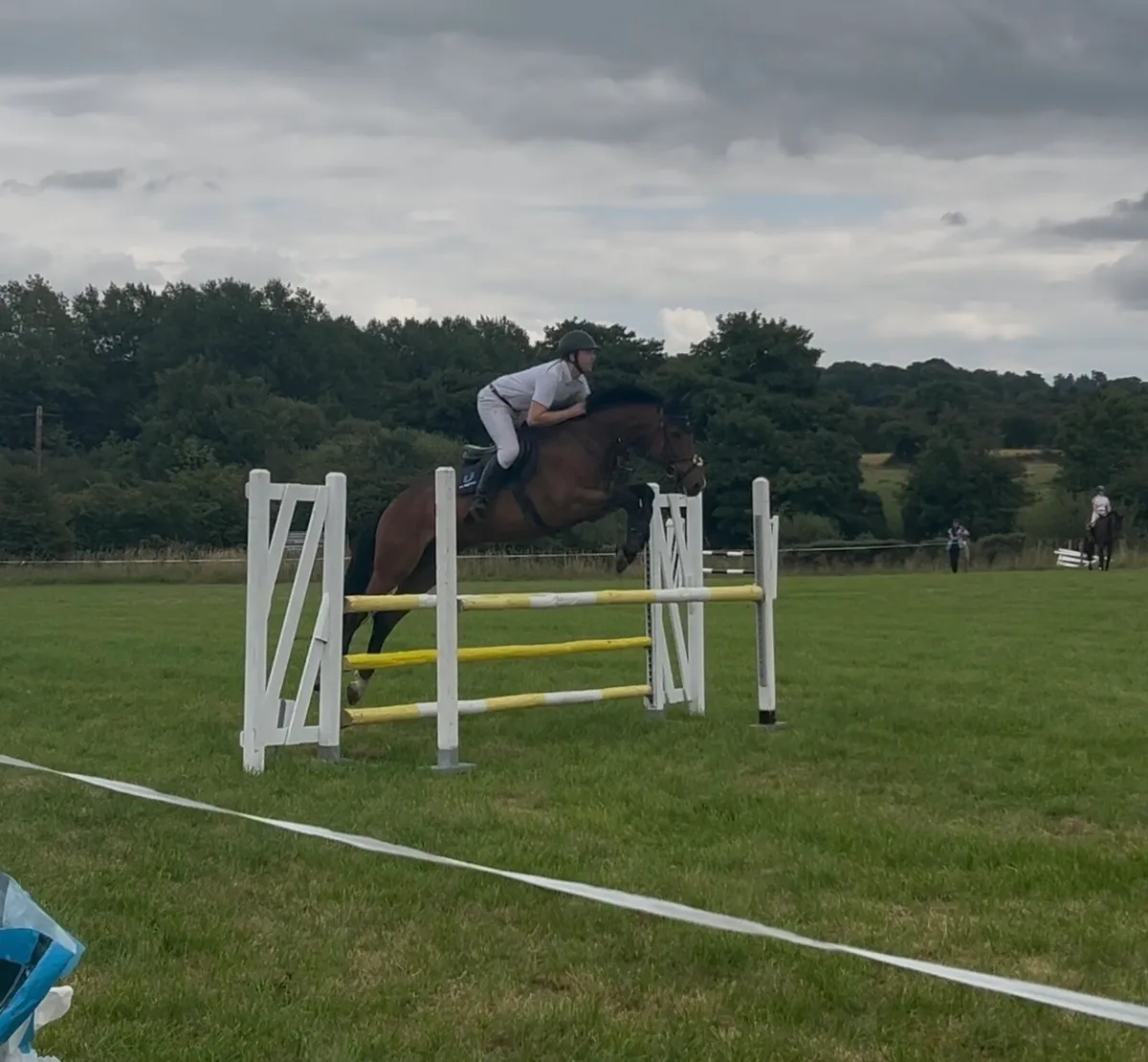 6yo showjumper - Image 3