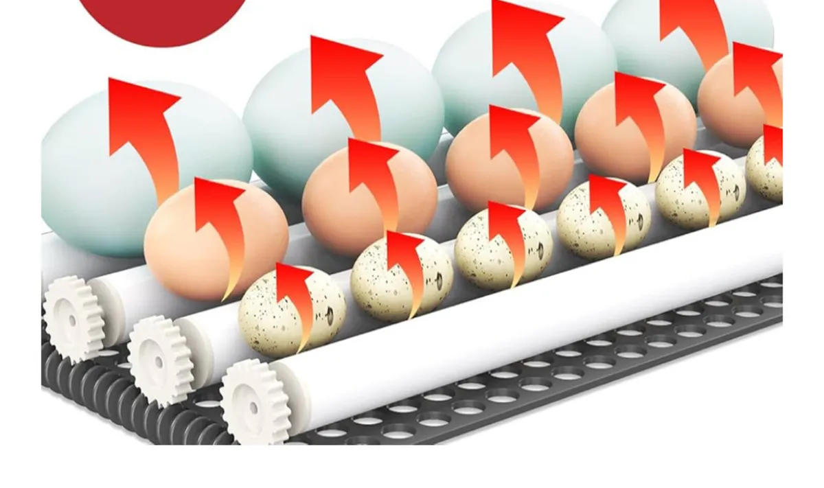 56 egg automatic incubator - Image 2