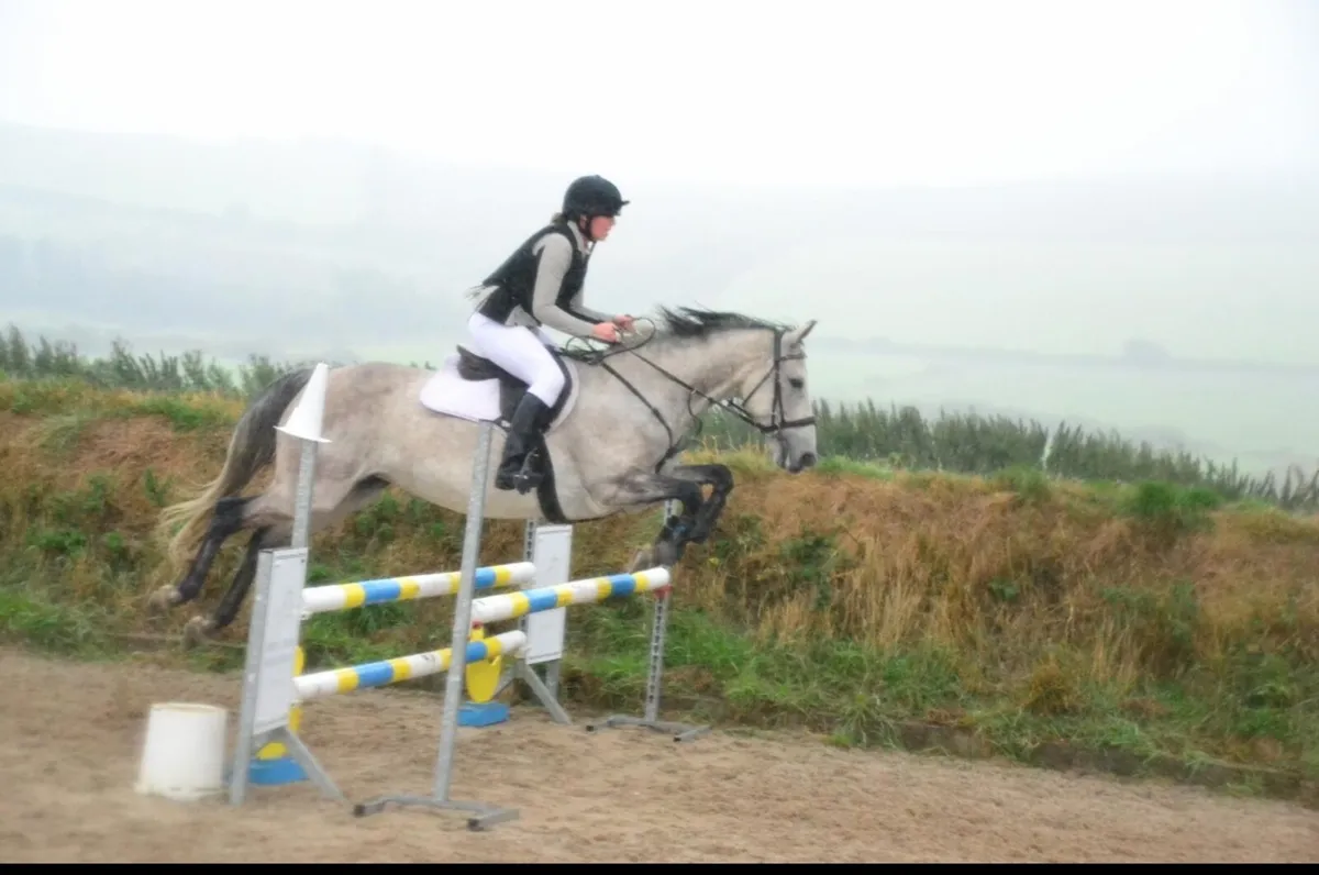 ⭐️16.2 Horse⭐️ - Image 1