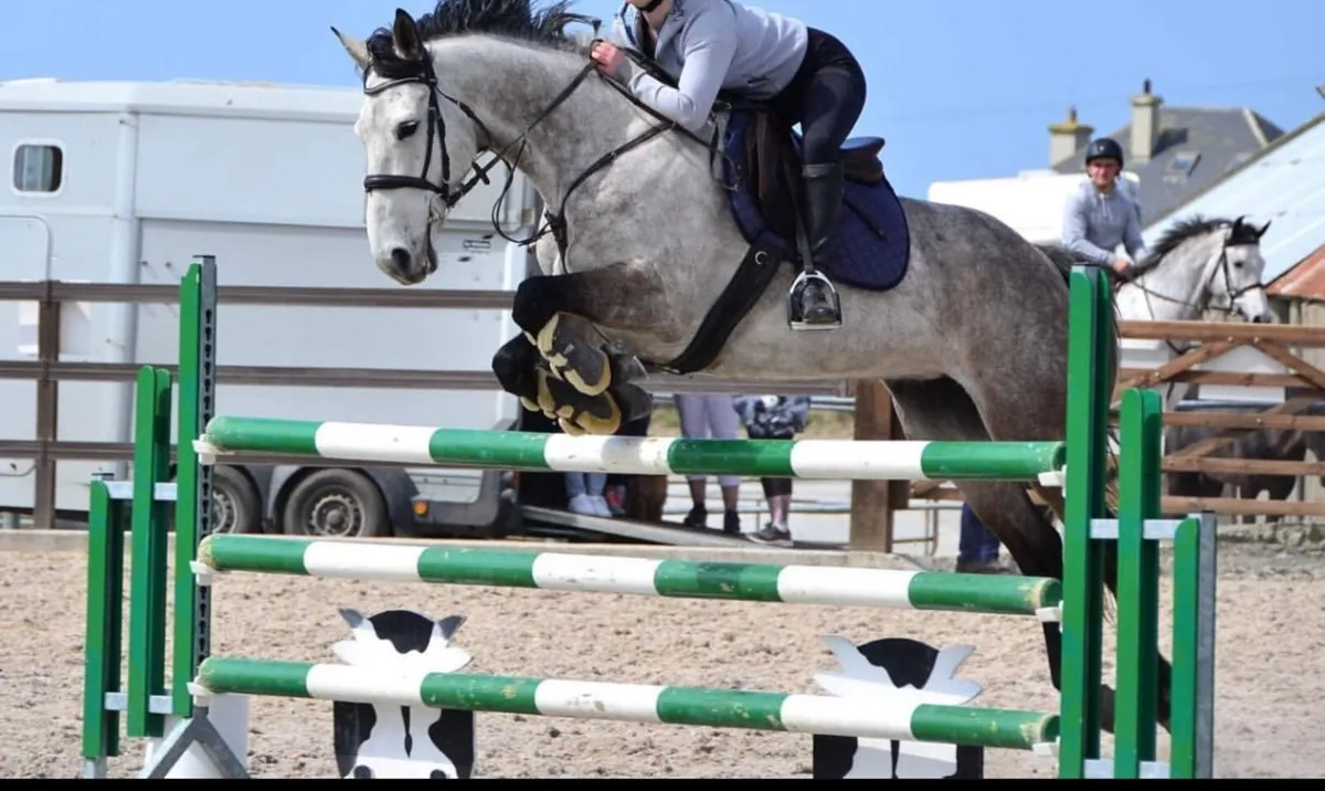⭐️16.2 Horse⭐️ - Image 2