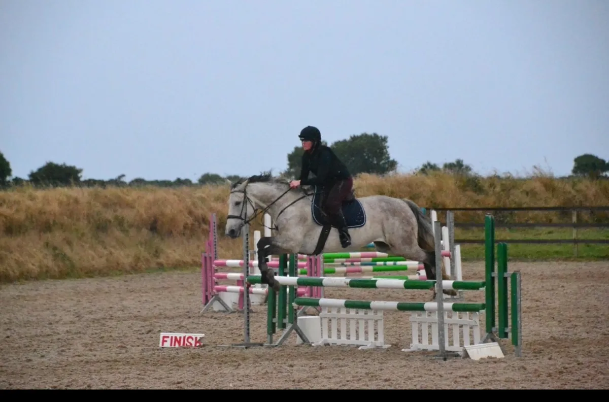⭐️16.2 Horse⭐️ - Image 3
