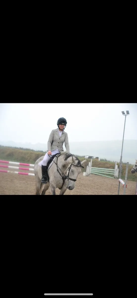 ⭐️16.2 Horse⭐️ - Image 4