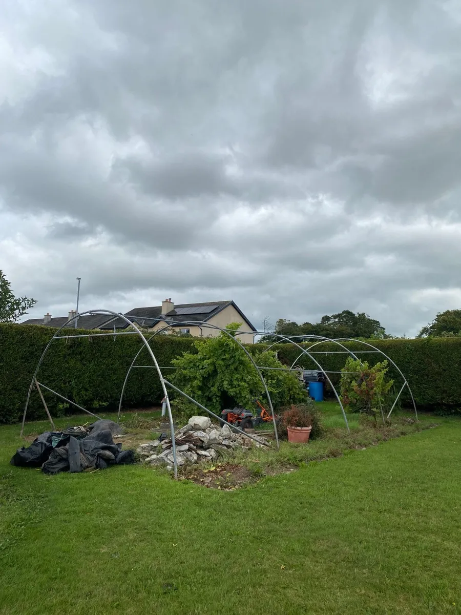Polytunnel - Image 2