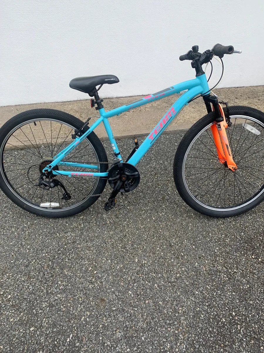 Mountain Bike - Image 1