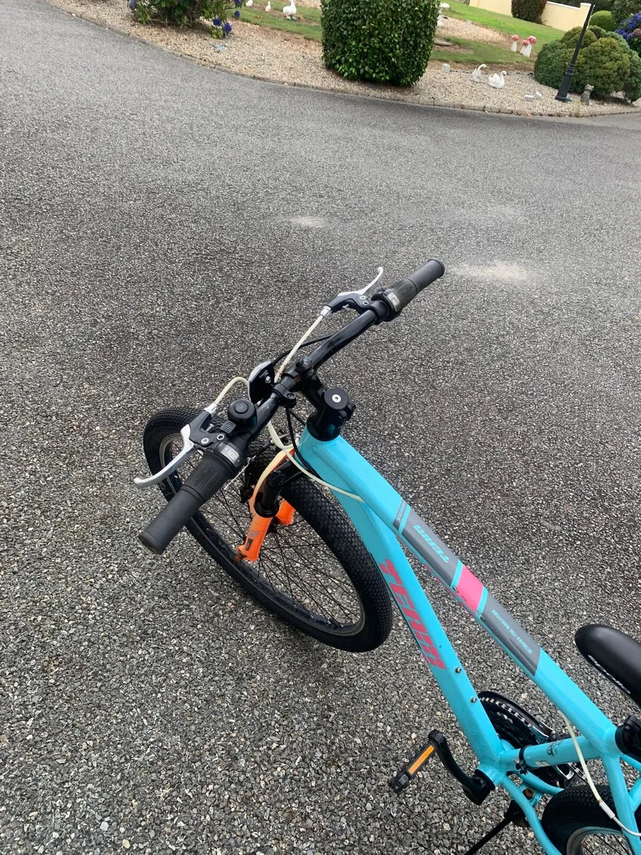 Mountain Bike - Image 2