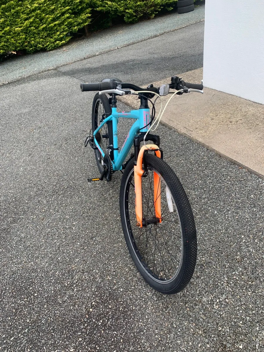 Mountain Bike - Image 4
