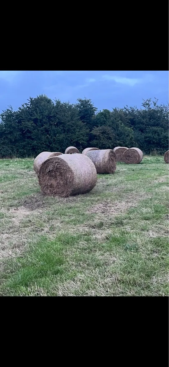 Bedding Round Bales - Image 1