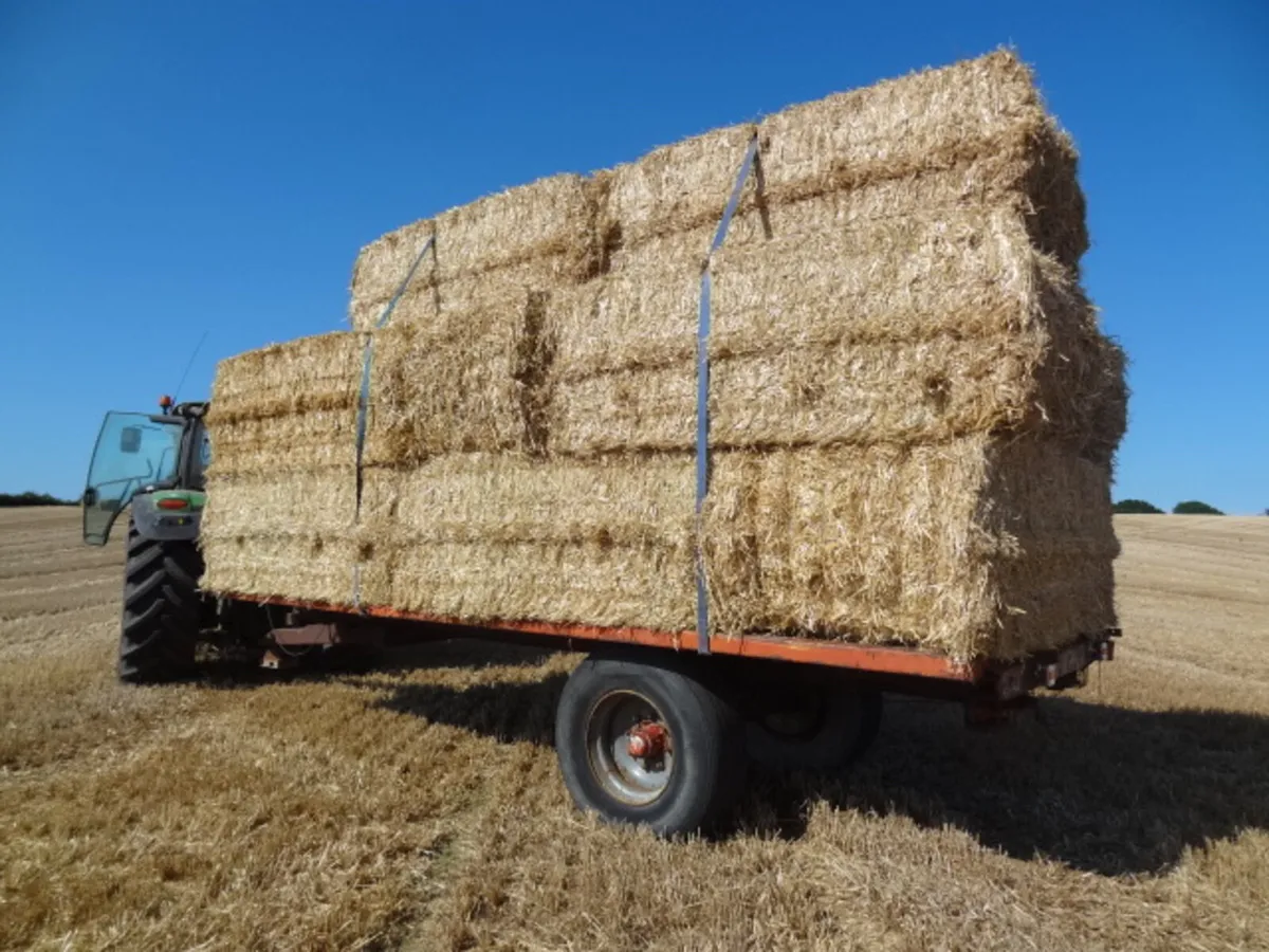 20FT Flat Bale Trailer - Image 2