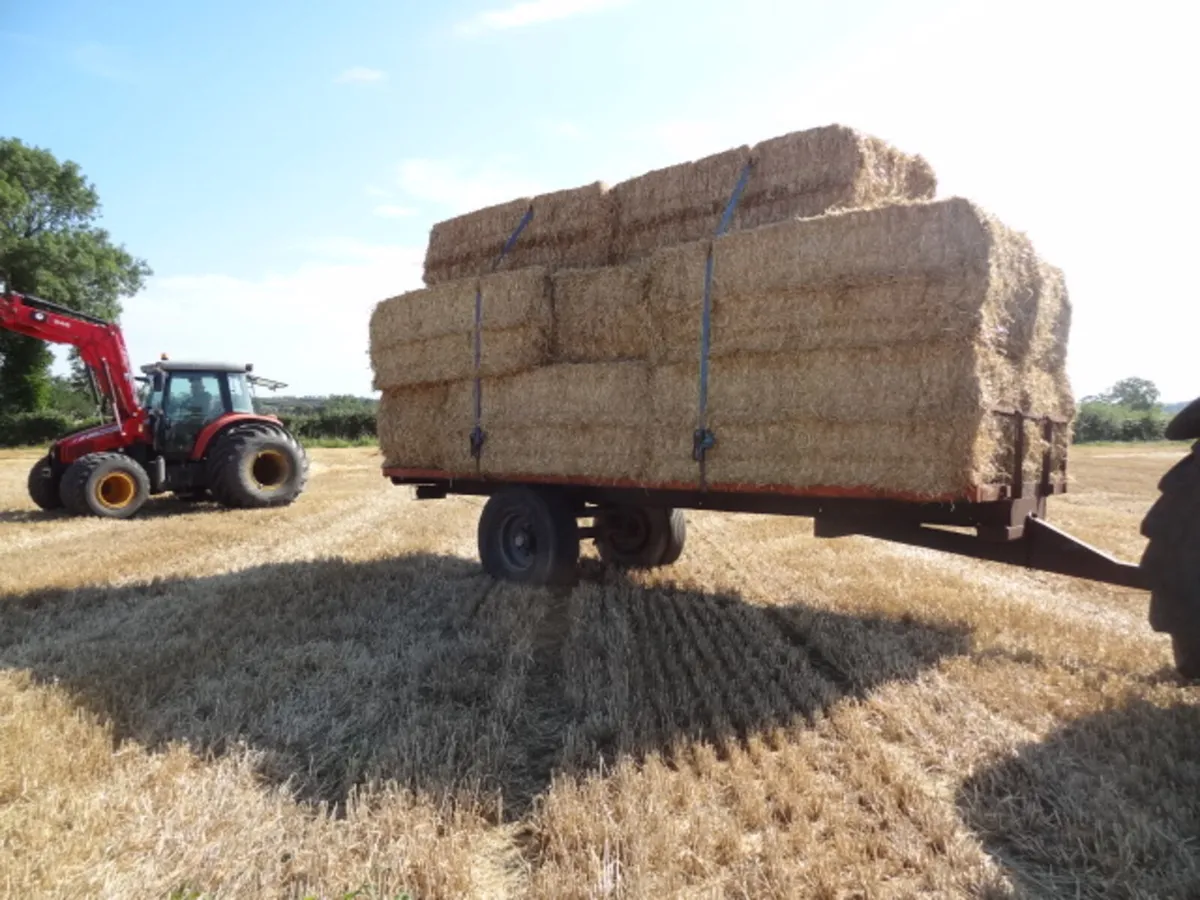 20FT Flat Bale Trailer - Image 4