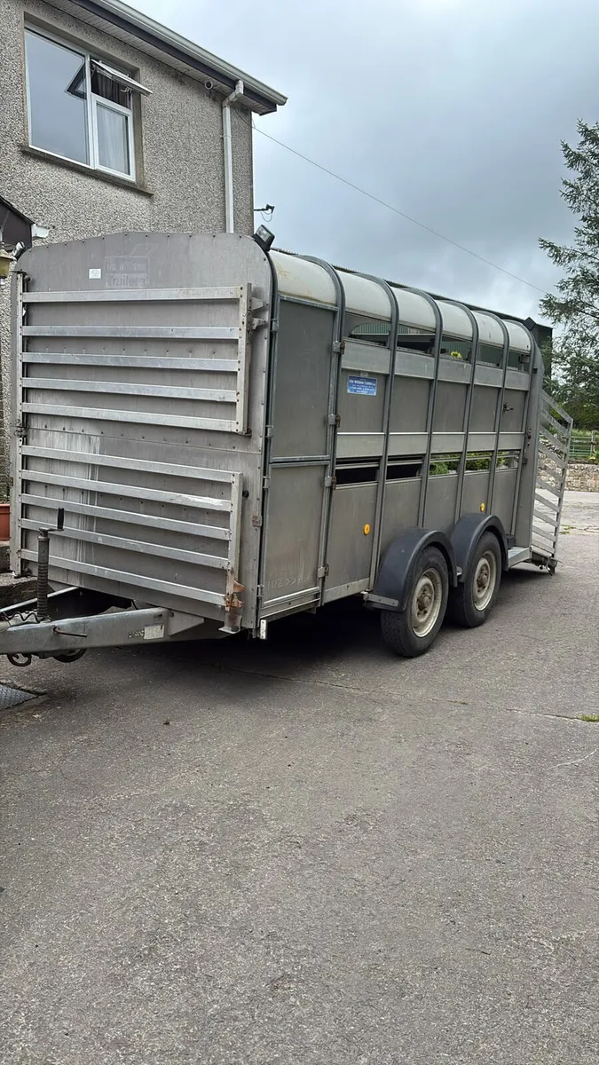 Ifor Williams cattle trailer - Image 1