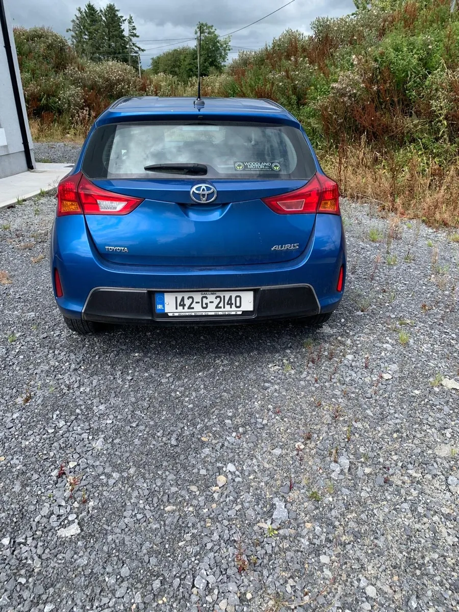 Auris - Image 1