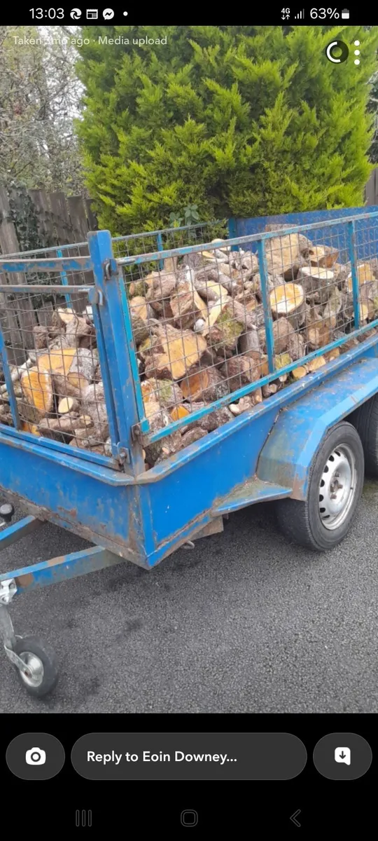 Firewood - Image 1