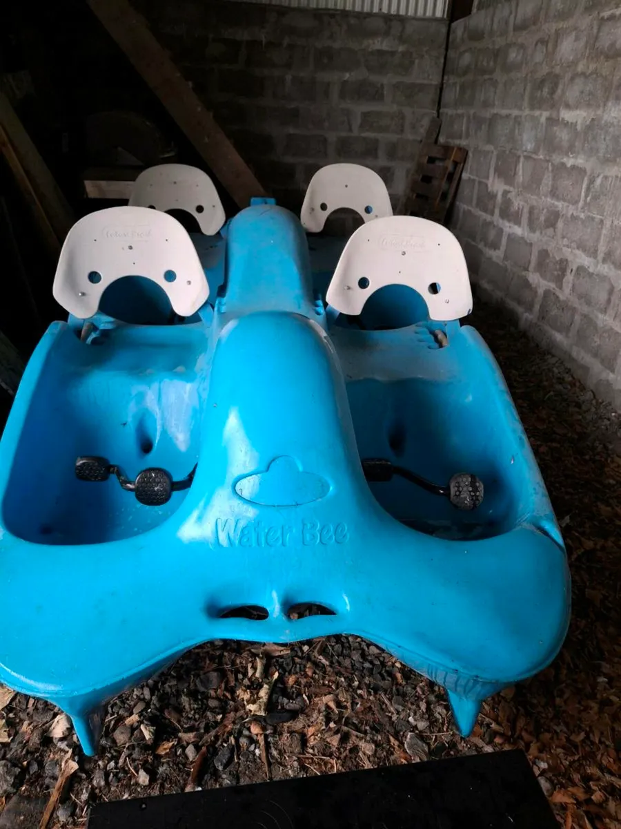 Future Beach WaterBee pedal boat *DEPOSIT PAID * - Image 1