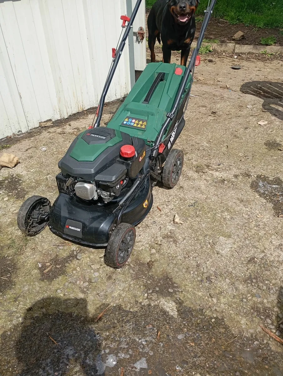 Lawnmower petrol - Image 2