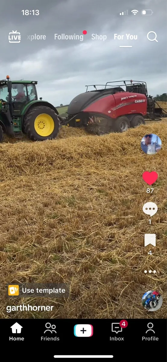 Wheat straw, can be delivered - Image 2