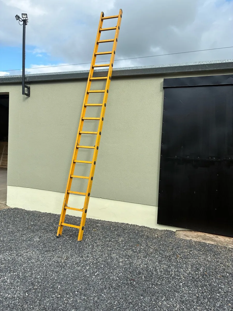 Scaffolding ladder