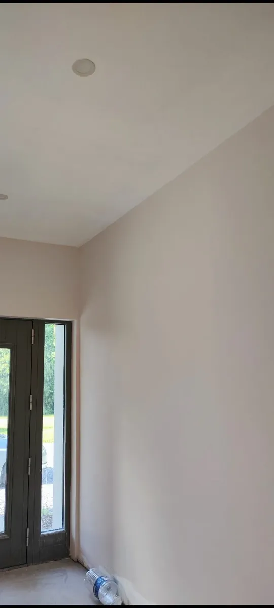 Paint - Image 3