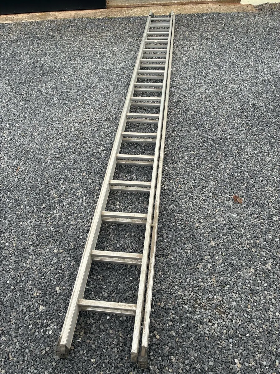 Heavy duty extendable ladder - Image 1