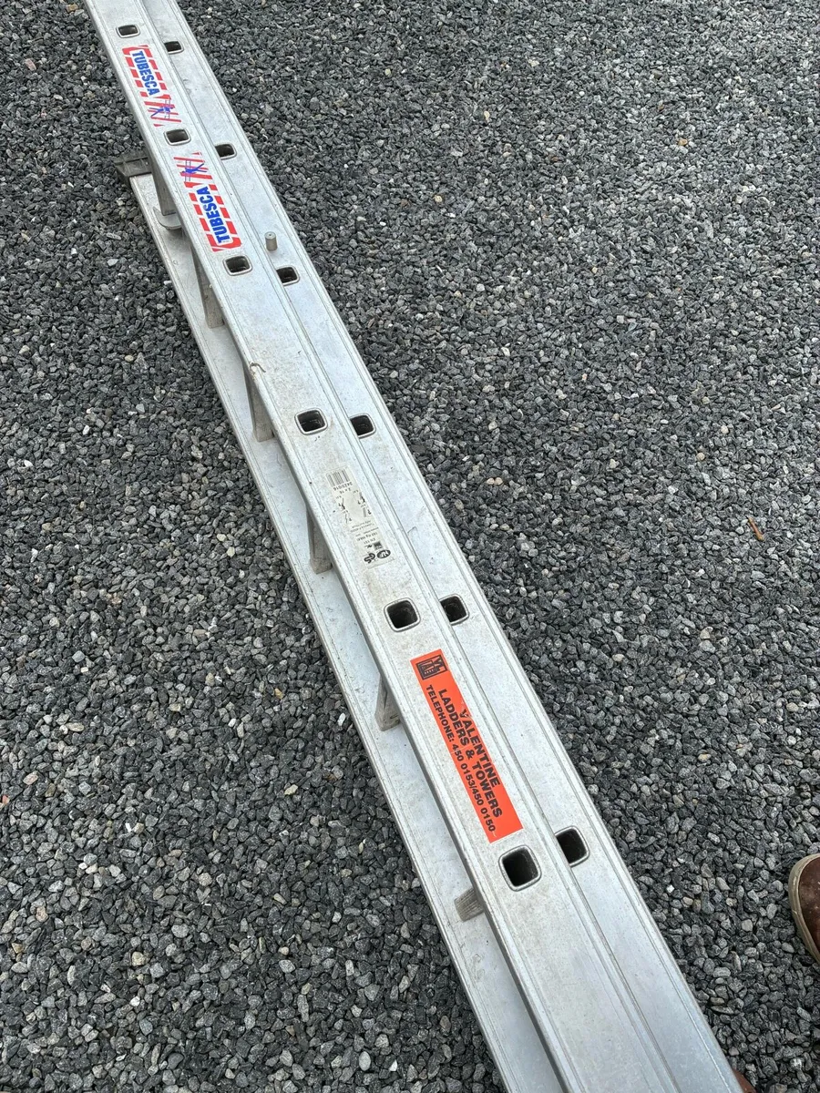 Heavy duty extendable ladder - Image 2