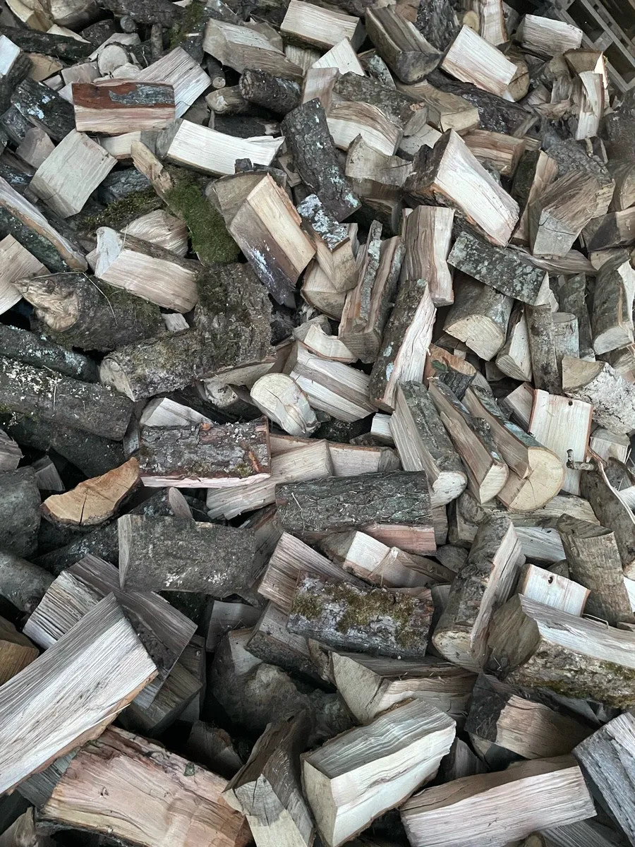 (Timber)‼️Need gone