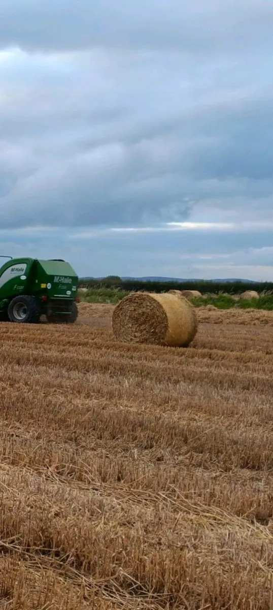 Straw bales - Image 2
