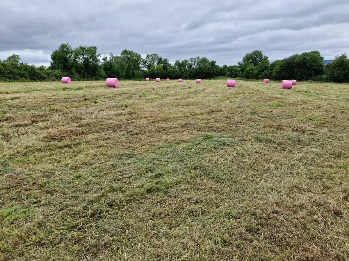 Haylage - Image 2